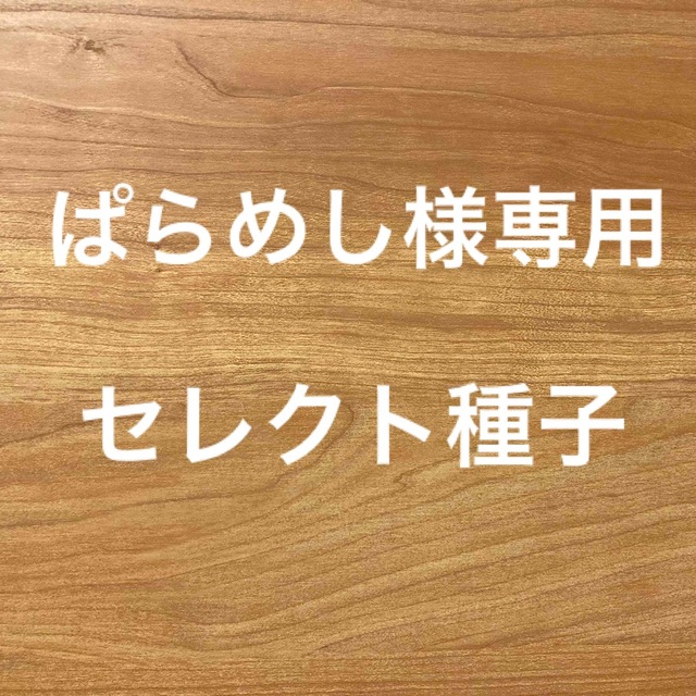 ぱらめし様専用　セレクト種子　6袋 食品/飲料/酒の食品(野菜)の商品写真