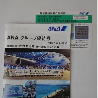 ANA 株主優待券 1枚（2023年11月期限)【匿名配送】(その他)