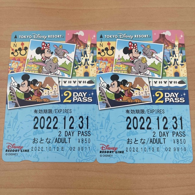 Disney(ディズニー)の【未使用】ディズニーリゾートライン2dayパス チケットの施設利用券(遊園地/テーマパーク)の商品写真