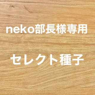 neko部長様専用　セレクト種子　10袋(野菜)