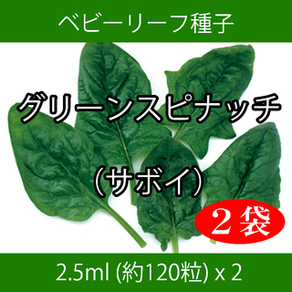 ベビーリーフ種子 B-40 グリーンスピナッチ（サボイ） 2.5ml x 2袋(野菜)