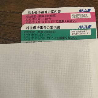 ANA 株主優待券　2枚(その他)