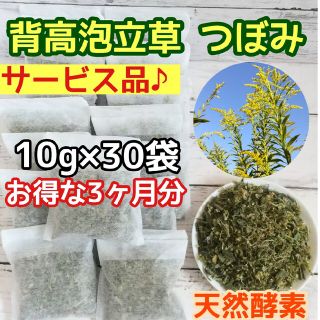 サービス品♥️ 乾燥セイタカアワダチソウ 10g×30個  ○増量OK 自然療法(ドライフラワー)