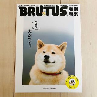 マガジンハウス(マガジンハウス)のBRUTUS 特別編集 やっぱり犬だって。(アート/エンタメ/ホビー)