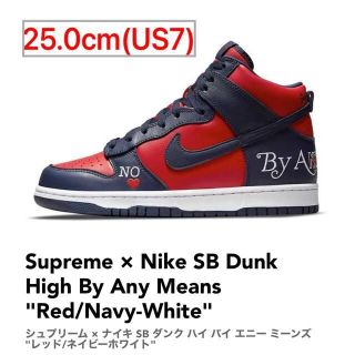 シュプリーム(Supreme)のSupreme × Nike SB Dunk High By Any Means(スニーカー)