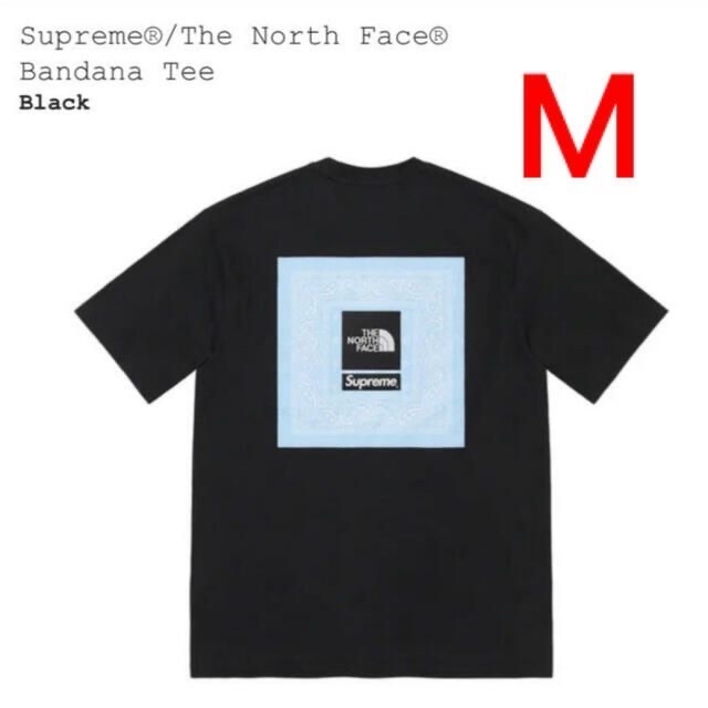 Supreme The North Face Bandana Tee Mサイズ