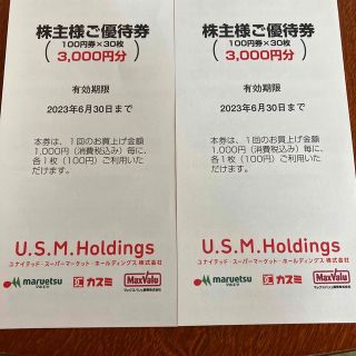 最新☆ユナイテッドスーパー　株主優待券　6,000円分(ショッピング)