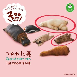 つかれた寝　パンダの穴(その他)