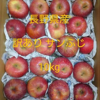 ② サンふじ 訳あり10kg 長野県産りんご(フルーツ)