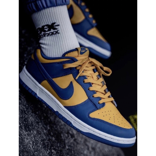 NIKE DUNK LOW RETRO MICHIGAN 25cm