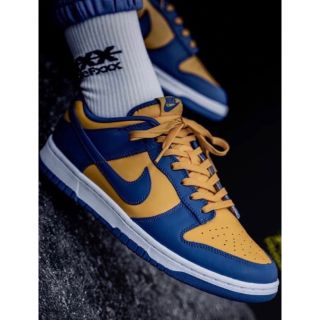 ナイキ(NIKE)の25cm Nike Dunk Low DD1391-402 ナイキ ダンク ロー(スニーカー)