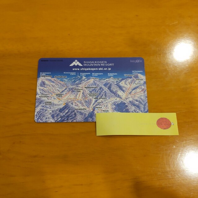 志賀高原 全山 リフト券 2日券 不連続使用可能 1枚 チケットの施設利用券(スキー場)の商品写真