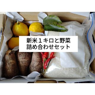 お米1キロと野菜詰め合わせセット(野菜)