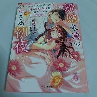 新婚未満のかりそめ初夜 クールな御曹司は淫らな独占欲を露わにする(その他)