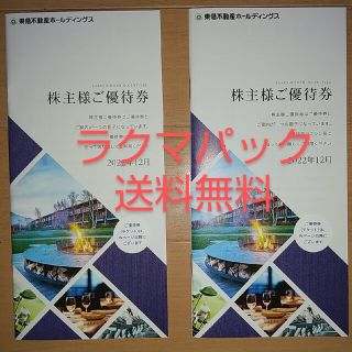 東急不動産 株主優待 2冊(その他)