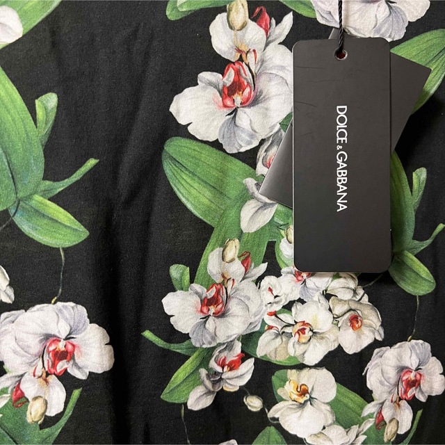 DOLCE&GABBANA(ドルチェアンドガッバーナ)のDolce&Gabbana ドルチェアンドガッバーナ　Tシャツ　花柄❗️ メンズのトップス(Tシャツ/カットソー(半袖/袖なし))の商品写真