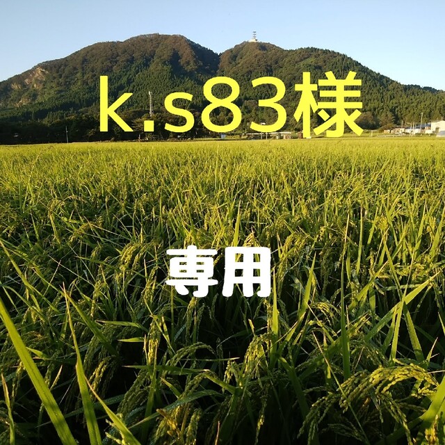 k.s83様専用① 食品/飲料/酒の食品(米/穀物)の商品写真