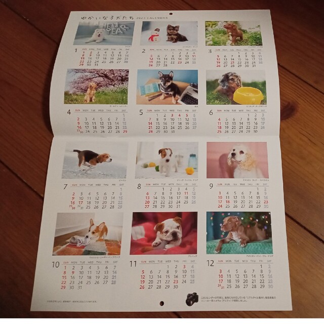 2023年カレンダー「ゆかいな子犬たち」 インテリア/住まい/日用品の文房具(カレンダー/スケジュール)の商品写真