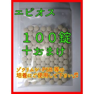 アサヒ(アサヒ)のエビオス錠　１００錠　➕α　検索　#エビオス　#ゾウリムシ　#培養(ペットフード)