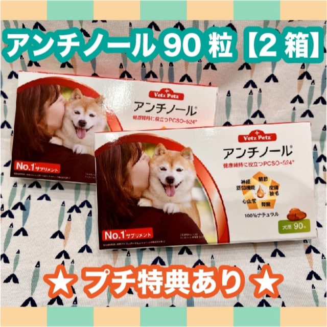 アンチノール 犬用 90粒 2箱〈おまけ付き〉の通販 by ミーナ＊。｜ラクマ