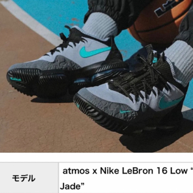 NIKE(ナイキ)の‼️NIKE LEBRON 16 LOW‼️^ - ^‼️ メンズの靴/シューズ(スニーカー)の商品写真