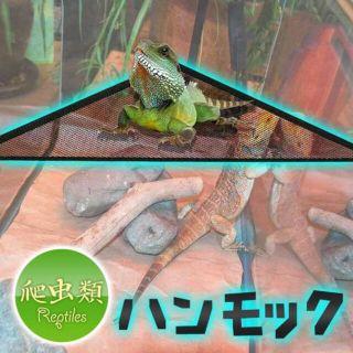 爬虫類 ハンモック 黒 ペットハンモック 小動物 メッシュ トカゲ ヤモリ(爬虫類/両生類用品)