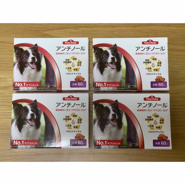 犬用アンチノール 60粒 4箱 | srisolamalaipc.ac.in