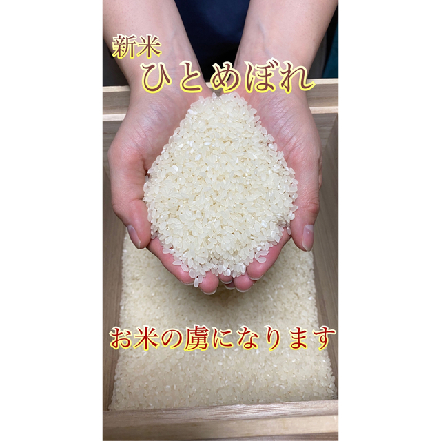 新米ひとめぼれ　玄米30キロ　埼玉県熊谷産　専業農家　白米にもできます！こだわり米