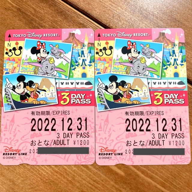 リゾラ　フリー　3day pass チケットの施設利用券(遊園地/テーマパーク)の商品写真