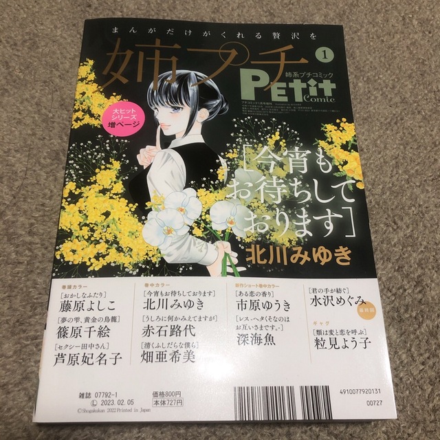 小学館(ショウガクカン)のプチコミック　姉プチ　2023年1月　最新号 エンタメ/ホビーの漫画(女性漫画)の商品写真