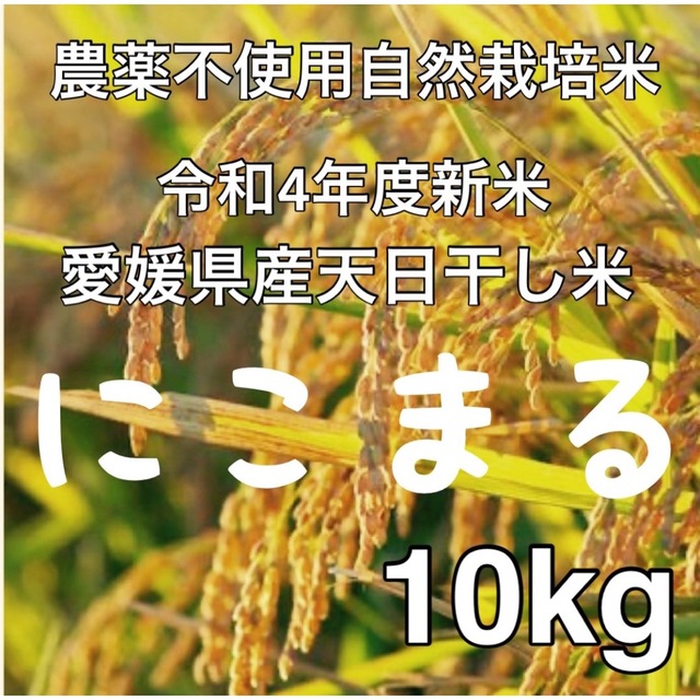 送料無料！九州・福岡県朝倉市産ヒノヒカリ玄米10キロ(農薬・化学肥料不使用) 通販