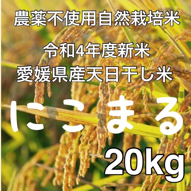 愛媛県産にこまる　天日干し米　20kg-　農薬不使用自然栽培　令和4年度新米