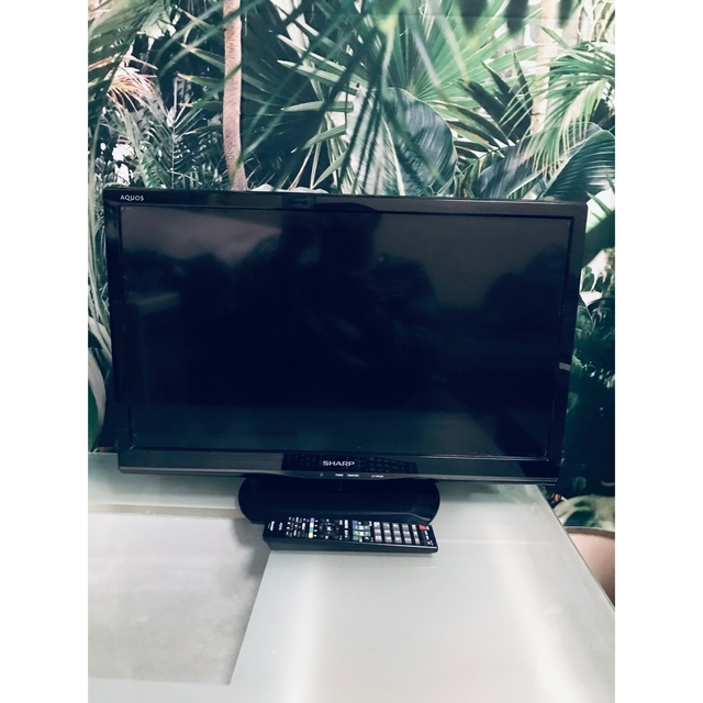 シャープAQUOS24型テレビ うす型 - テレビ