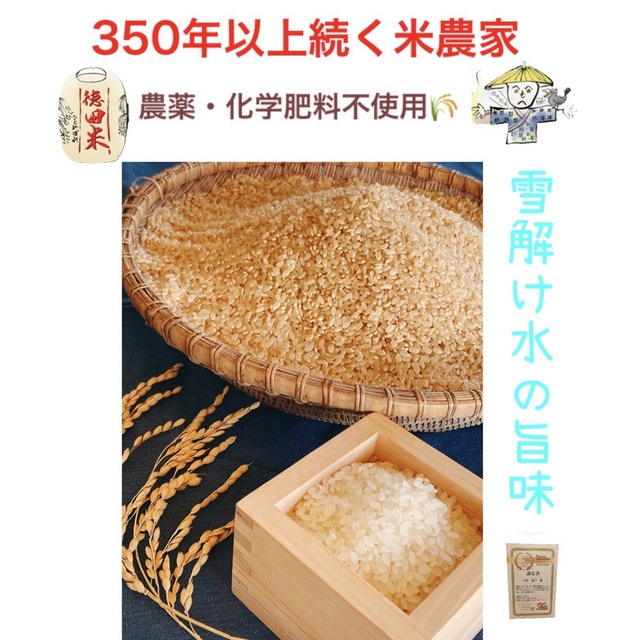 無農薬さわのはな玄米 20キロ-