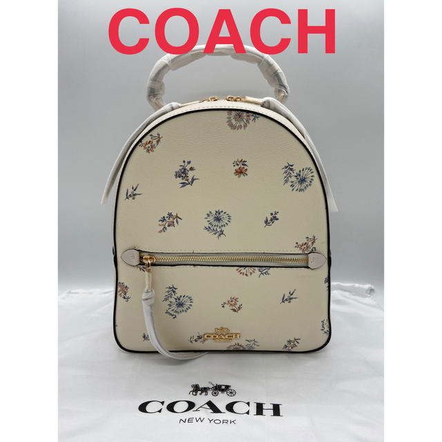 ☆新品未使用☆コーチ COACH リュック バックパック シグネチャー