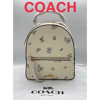 コーチ(COACH)の★新品未使用★コーチ COACH リュック バックパック シグネチャー  (バッグパック/リュック)