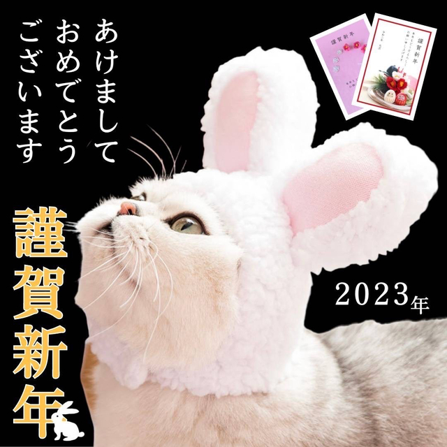1個 うさ耳 帽子 ペット 犬 猫 2023 うさぎ 干支 年賀状 コスプレ 通販
