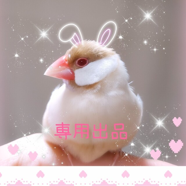 yuuko様専用♡可愛い手作り③コップ巾着☆可愛いパッチ♡マーガレット