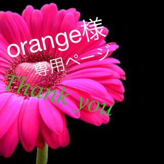 orange様 専用ページ(菓子/デザート)
