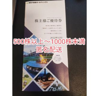 東急不動産 株主優待 500株(その他)