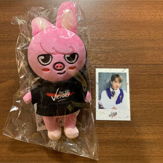 Stray Kids スキズ SKZOO MINI PLUSH チャンビン