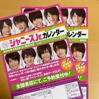 ジャニーズジュニア(ジャニーズJr.)の2015ジャニーズJr カレンダー　フライヤー(印刷物)