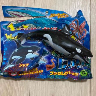 新作！ディアゴスティーニWHALES＆CO　くじら＆CO　ビッグ　シャチ(その他)