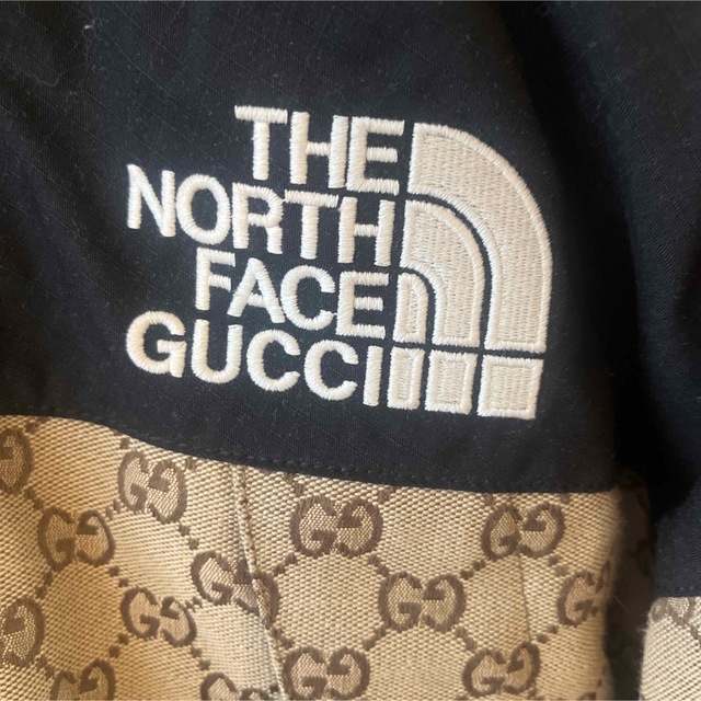 Gucci(グッチ)のTHE NORTH FACE x GUCCI ダウンジャケット希少Sサイズ メンズのジャケット/アウター(ダウンジャケット)の商品写真