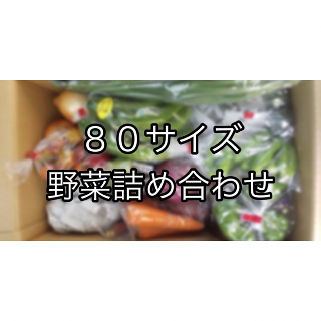 【大人気！！】80サイズ　野菜詰め合わせ　野菜ボックス　茨城県産 食品/飲料/酒の食品(野菜)の商品写真