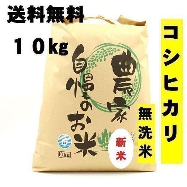 新米 無洗米 送料無料 10kg 令和5年 栃木産 農家直送 おいしい