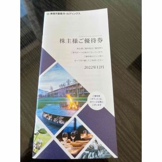 東急不動産株主優待券　ニセコ　グランドヒラフリフト券割引券他(その他)