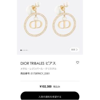 日本本物』 最終値下げ【美品】【レア】DIOR ピアス(メタル・レジン