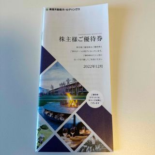 東急不動産ホールディングス株主優待券　100株分(その他)