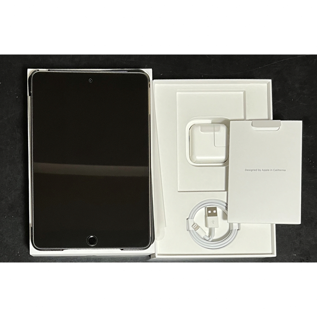 APPLE iPad mini 5 WI-FI 256GB スペースグレイ